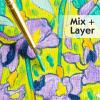 imageFaberCastell Paint by Number Museum Series  Vincent Van Gogh The Starry Night  Paint by Numbers for Adult Beginners ampamp Young Artists Packaging May VaryIrises