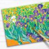 imageFaberCastell Paint by Number Museum Series  Vincent Van Gogh The Starry Night  Paint by Numbers for Adult Beginners ampamp Young Artists Packaging May VaryIrises