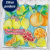 imageFaberCastell Paint by Number Watercolor Produce  Paint Night Kit for Adults  Easy Paint by NumberProduce
