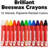 imageFaberCastell World Colors Beeswax Crayons  15 Count 9 Traditional and 6 Skin Color Crayons  Multicultural Crayons for Kids240 Count School Pack