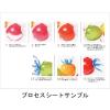 imageFaberCastell Polychromos 36 Pencil Studio Set14 Color Set Art Box